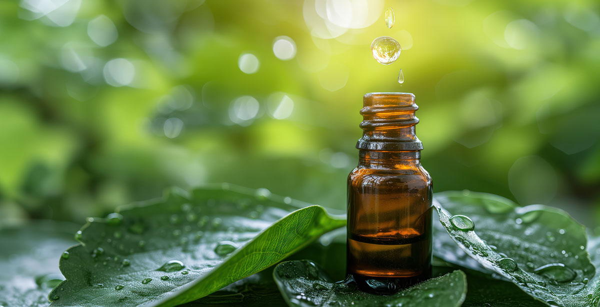 A Jornada dos Ingredientes: Da Natureza aos Cosméticos