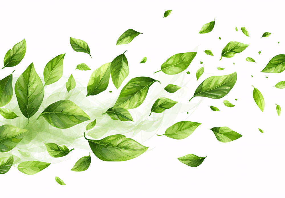 Zero Waste Beauty: Transformando a Sustentabilidade em Ação